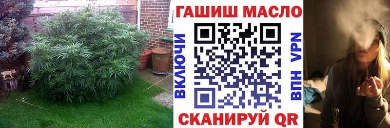 дарнет шоп  Камень-на-Оби  ТГК жижа 